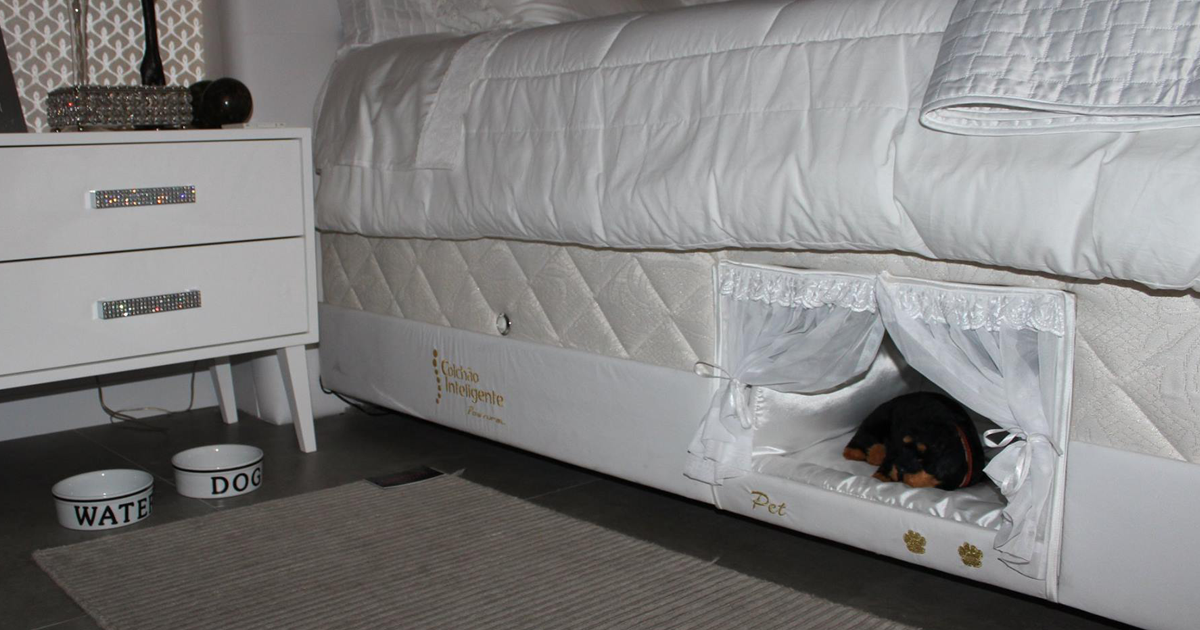 Think of it as a bunk bed for you and your dog