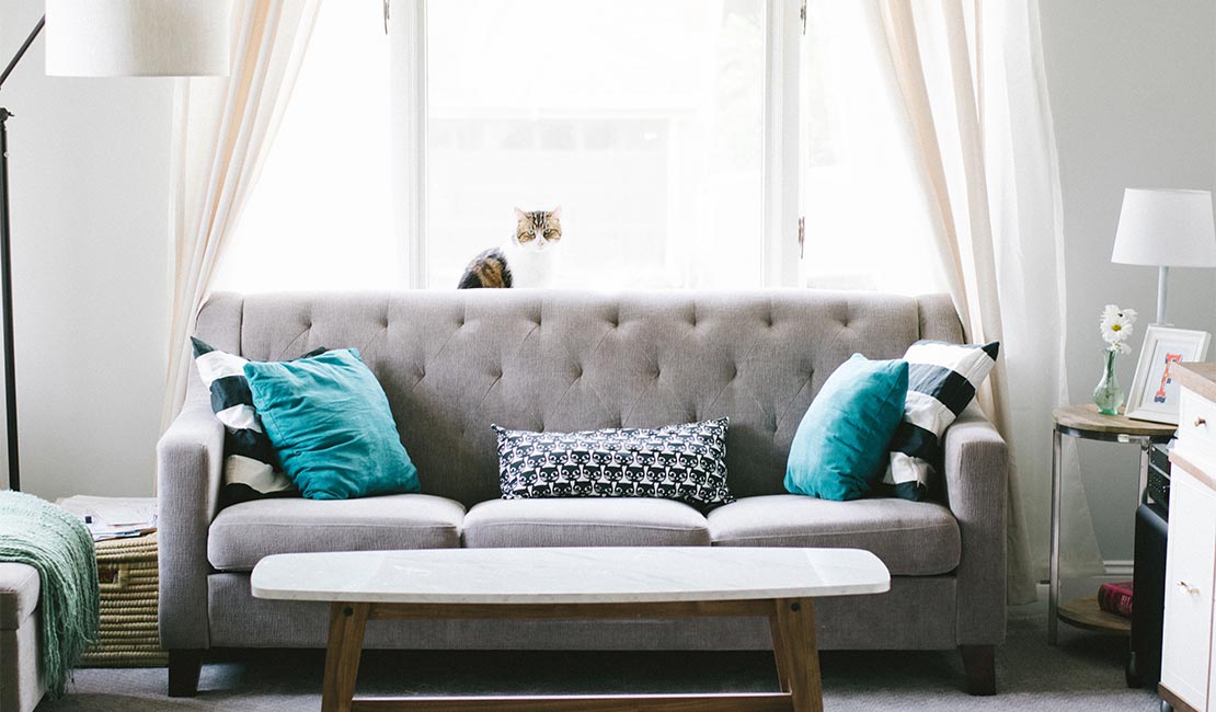 Grey couch with two blue scatter cushions on it in front of a window
