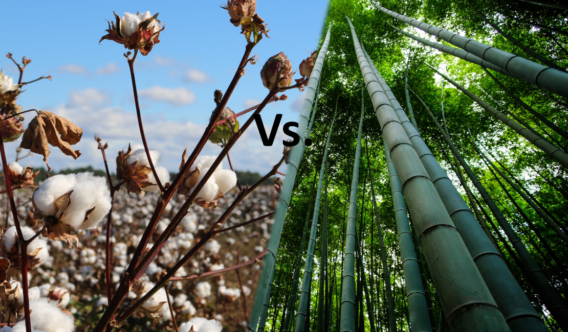 Cotton plants on the left vs. bamboo plants on the left. Which plant makes the best bedding?